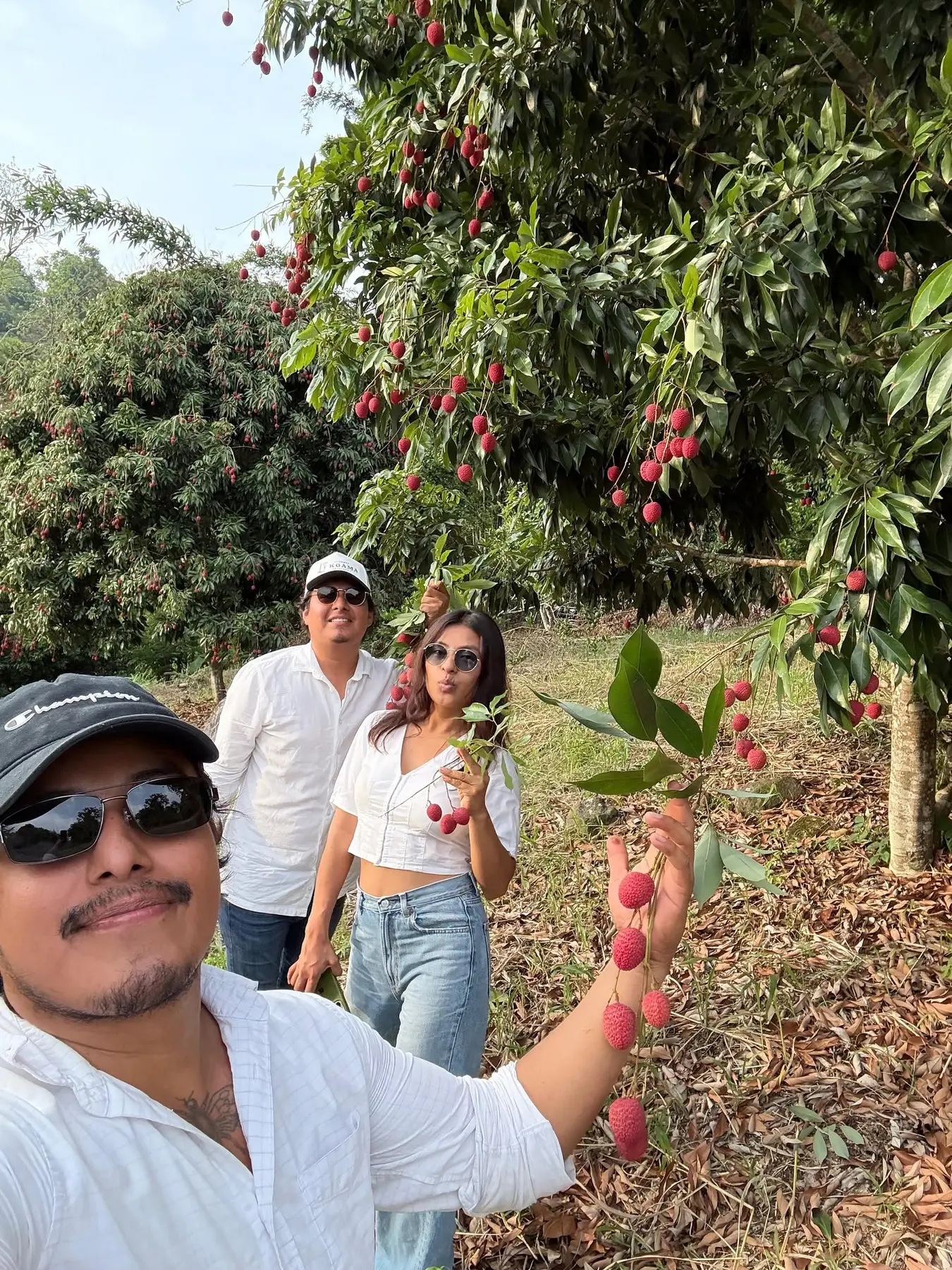 Familia Salazar durante la cosecha de litchi en Coyutla