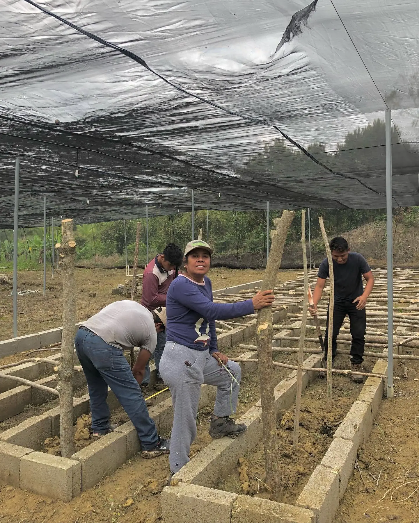 Familia y trabajadores preparando un vivero en Coyutla